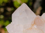 Natural White Spirit Quartz Clusters x 6 From Boekenhouthoek, South Africa