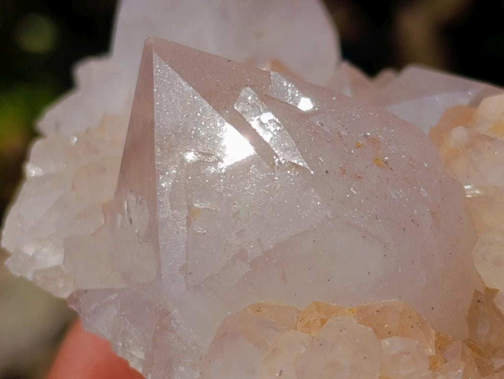 Natural White Spirit Quartz Clusters x 6 From Boekenhouthoek, South Africa