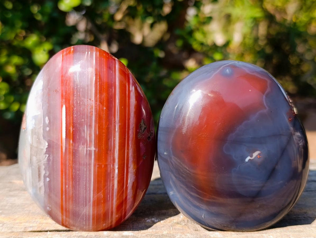 Polished and Natural Large Red Shashe River Agate Galets x 6 From Shashe River, Zimbabwe