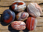 Polished and Natural Large Red Shashe River Agate Galets x 6 From Shashe River, Zimbabwe