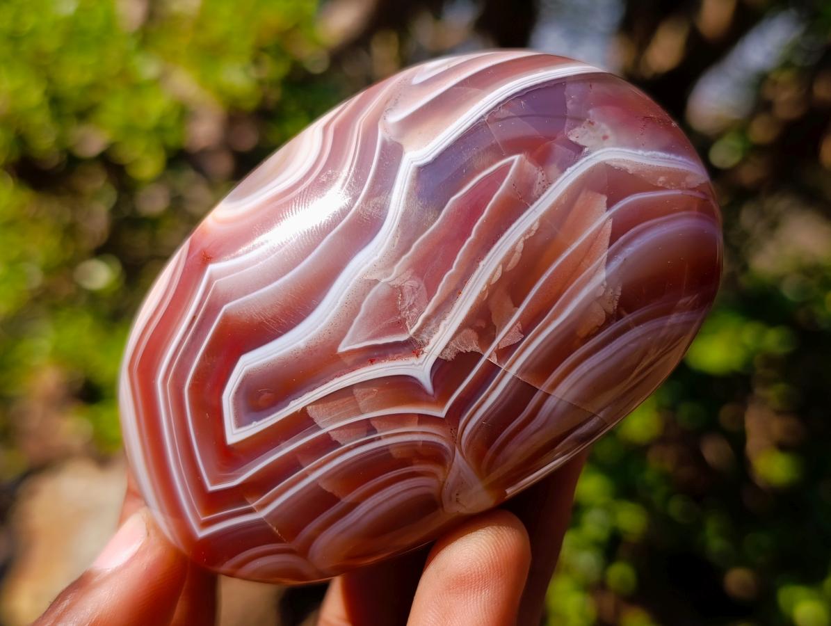 Polished and Natural Large Red Shashe River Agate Galets x 6 From Shashe River, Zimbabwe