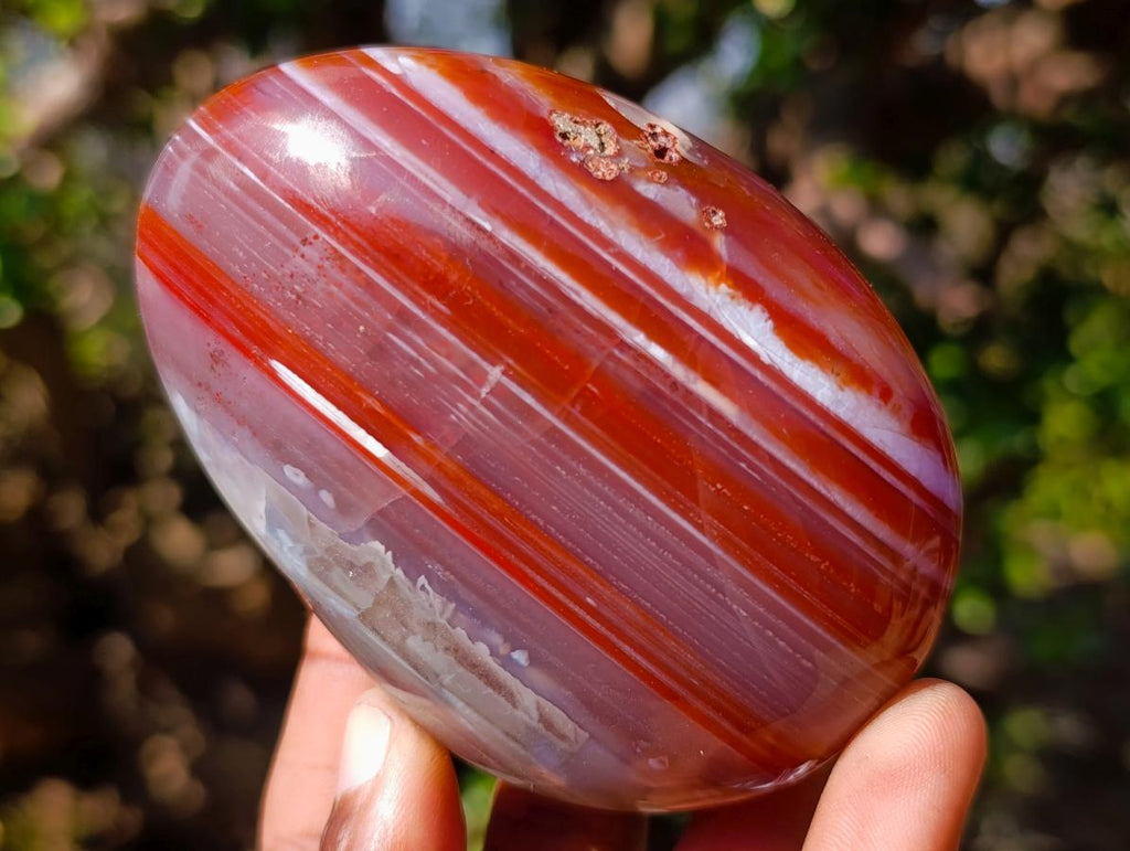 Polished and Natural Large Red Shashe River Agate Galets x 6 From Shashe River, Zimbabwe