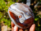 Polished and Natural Large Red Shashe River Agate Galets x 6 From Shashe River, Zimbabwe