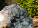 Natural XL Green Cubic Fluorite Specimen x 1 From Mandrosonoro, Madagascar