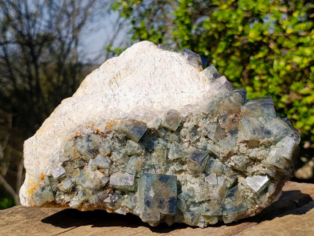 Natural XL Green Cubic Fluorite Specimen x 1 From Mandrosonoro, Madagascar