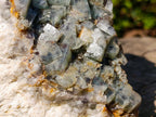 Natural XL Green Cubic Fluorite Specimen x 1 From Mandrosonoro, Madagascar