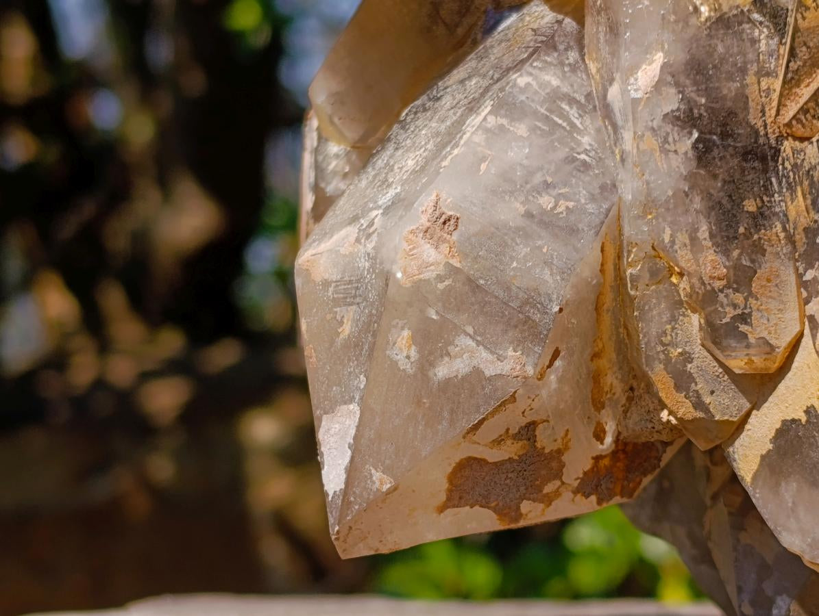 Natural Large Smokey Quartz Cluster x 1 From Erongo, Namibia - Toprock Gemstones and Minerals 