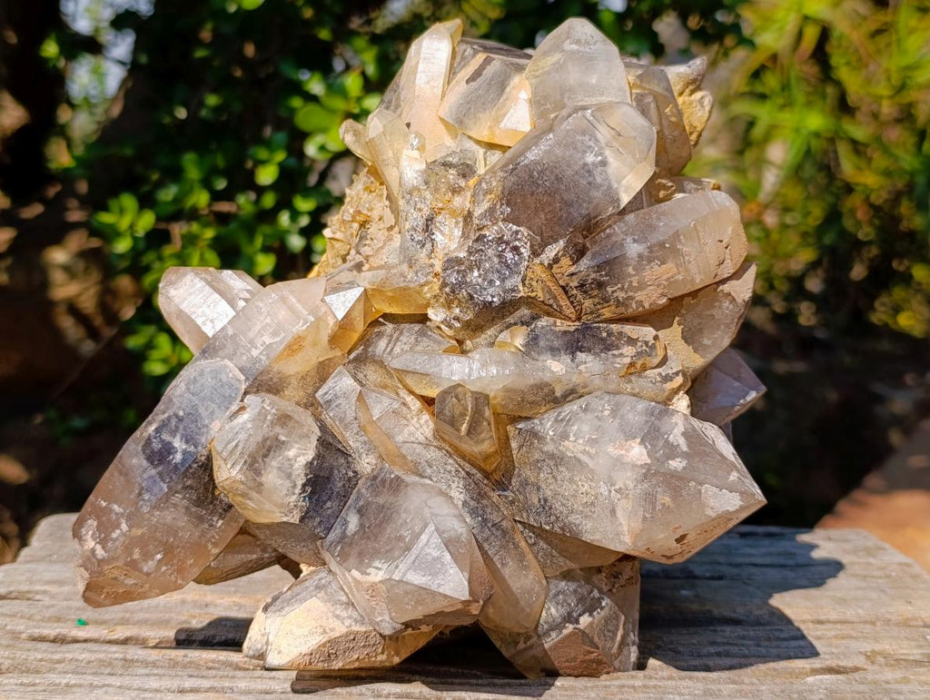 Natural Large Smokey Quartz Cluster x 1 From Erongo, Namibia - Toprock Gemstones and Minerals 