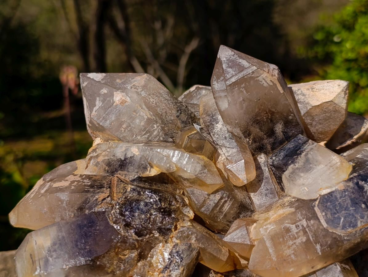 Natural Large Smokey Quartz Cluster x 1 From Erongo, Namibia - Toprock Gemstones and Minerals 