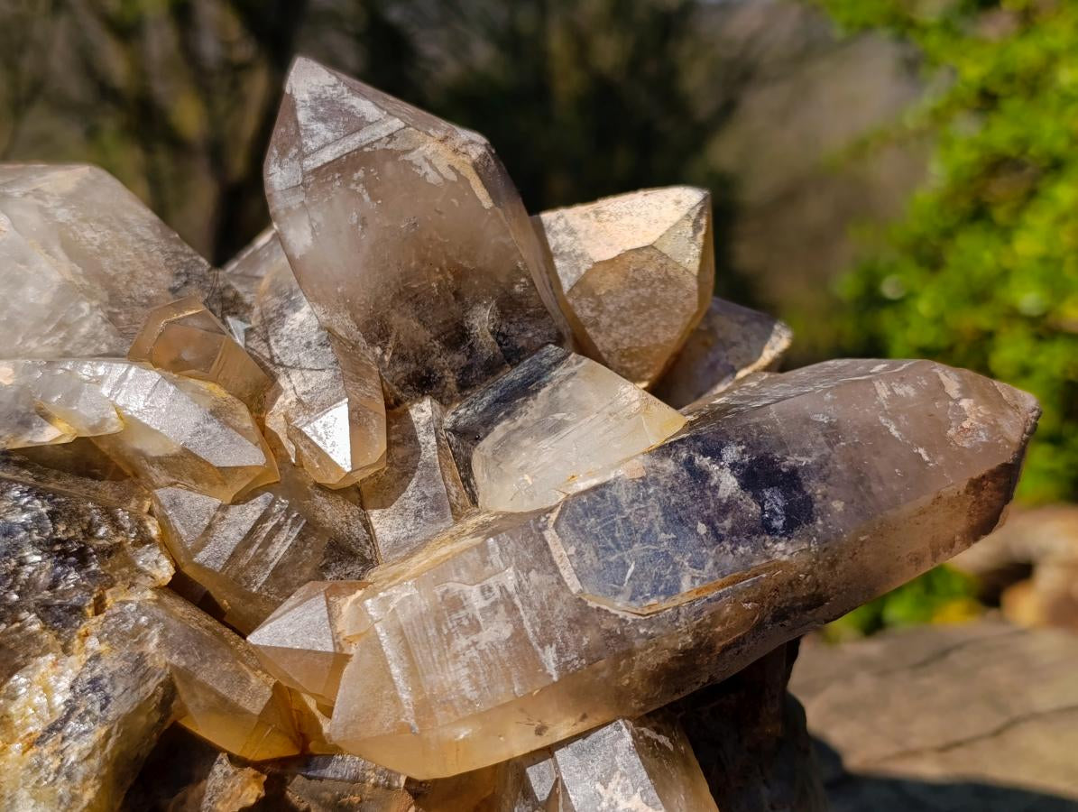 Natural Large Smokey Quartz Cluster x 1 From Erongo, Namibia - Toprock Gemstones and Minerals 