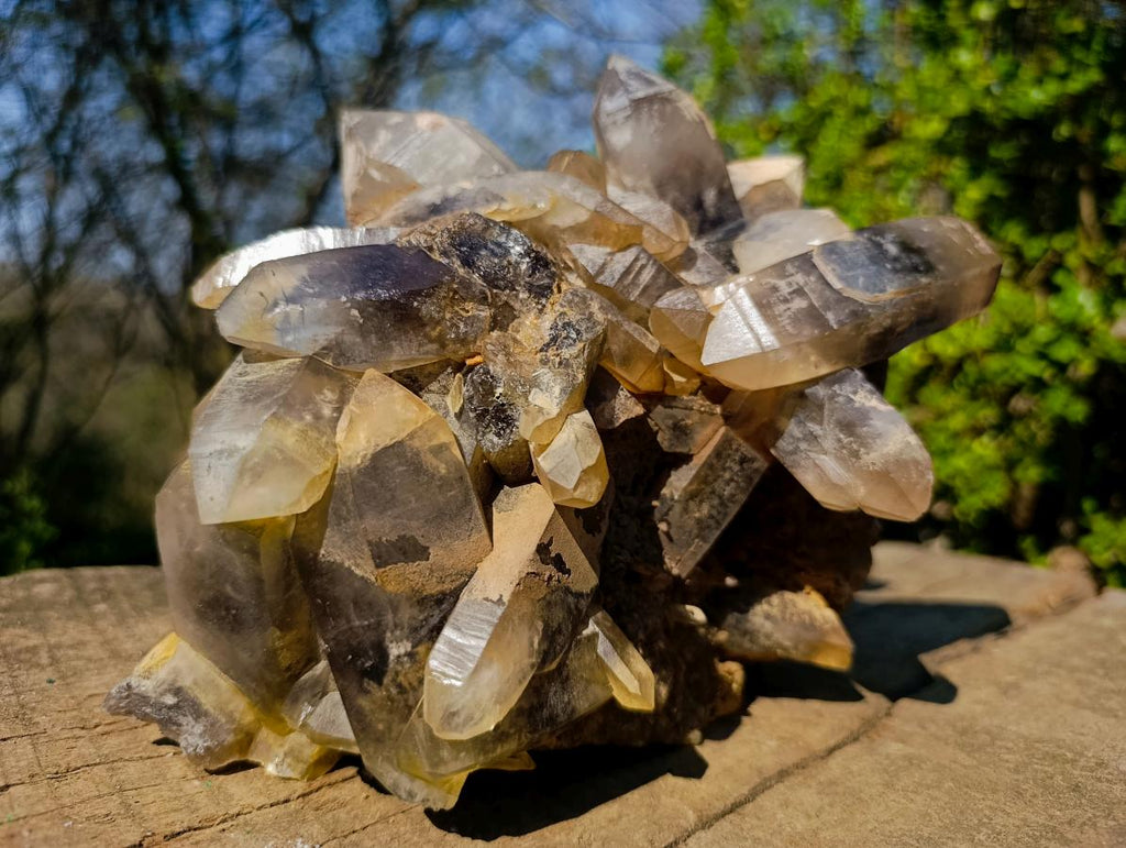 Natural Large Smokey Quartz Cluster x 1 From Erongo, Namibia - Toprock Gemstones and Minerals 