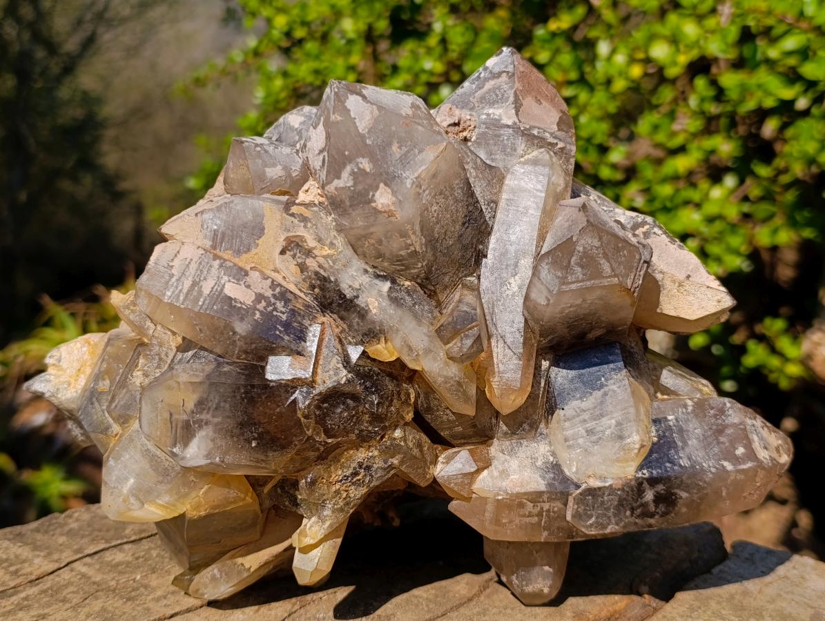 Natural Large Smokey Quartz Cluster x 1 From Erongo, Namibia - Toprock Gemstones and Minerals 