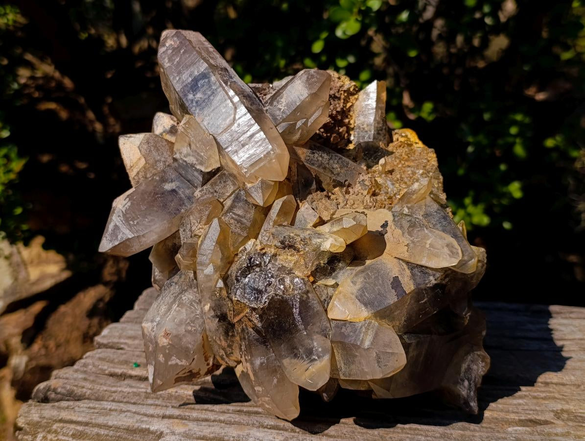 Natural Large Smokey Quartz Cluster x 1 From Erongo, Namibia