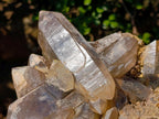 Natural Large Smokey Quartz Cluster x 1 From Erongo, Namibia - Toprock Gemstones and Minerals 