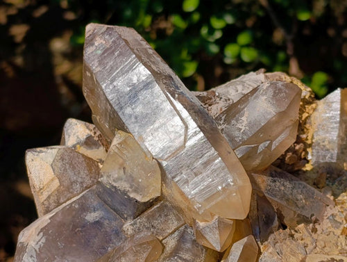 Natural Large Smokey Quartz Cluster x 1 From Erongo, Namibia - Toprock Gemstones and Minerals 