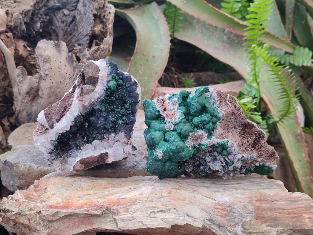 Natural Ball Malachite Specimens on Quartz and Dolomite Matrix x 2 From Mindingi Mine, Kambove, Congo - Toprock Gemstones and Minerals 