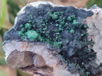 Natural Ball Malachite Specimens on Quartz and Dolomite Matrix x 2 From Mindingi Mine, Kambove, Congo - Toprock Gemstones and Minerals 