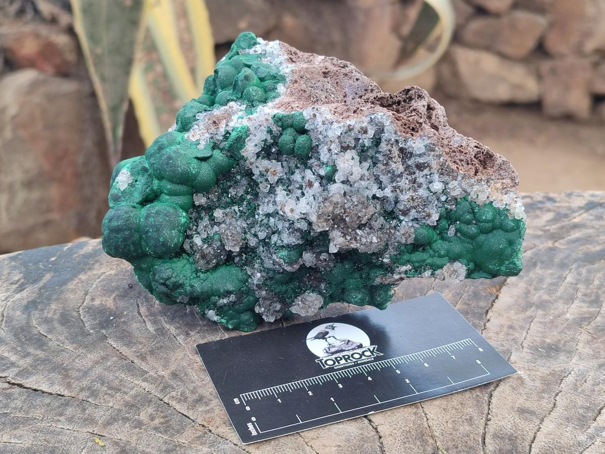 Natural Ball Malachite Specimens on Quartz and Dolomite Matrix x 2 From Mindingi Mine, Kambove, Congo - Toprock Gemstones and Minerals 