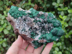 Natural Ball Malachite Specimens on Quartz and Dolomite Matrix x 2 From Mindingi Mine, Kambove, Congo - Toprock Gemstones and Minerals 