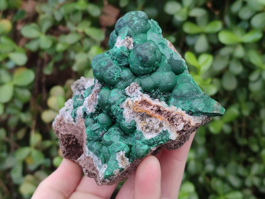 Natural Ball Malachite Specimens on Quartz and Dolomite Matrix x 2 From Mindingi Mine, Kambove, Congo - Toprock Gemstones and Minerals 