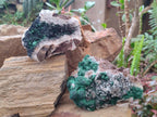 Natural Ball Malachite Specimens on Quartz and Dolomite Matrix x 2 From Mindingi Mine, Kambove, Congo - Toprock Gemstones and Minerals 