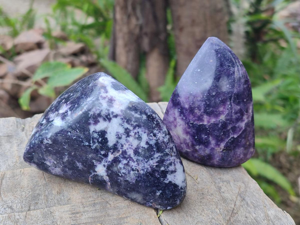 Polished Lepidolite Free Forms x 4 From Zimbabwe - Toprock Gemstones and Minerals 
