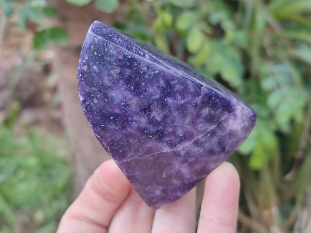 Polished Lepidolite Free Forms x 4 From Zimbabwe - Toprock Gemstones and Minerals 