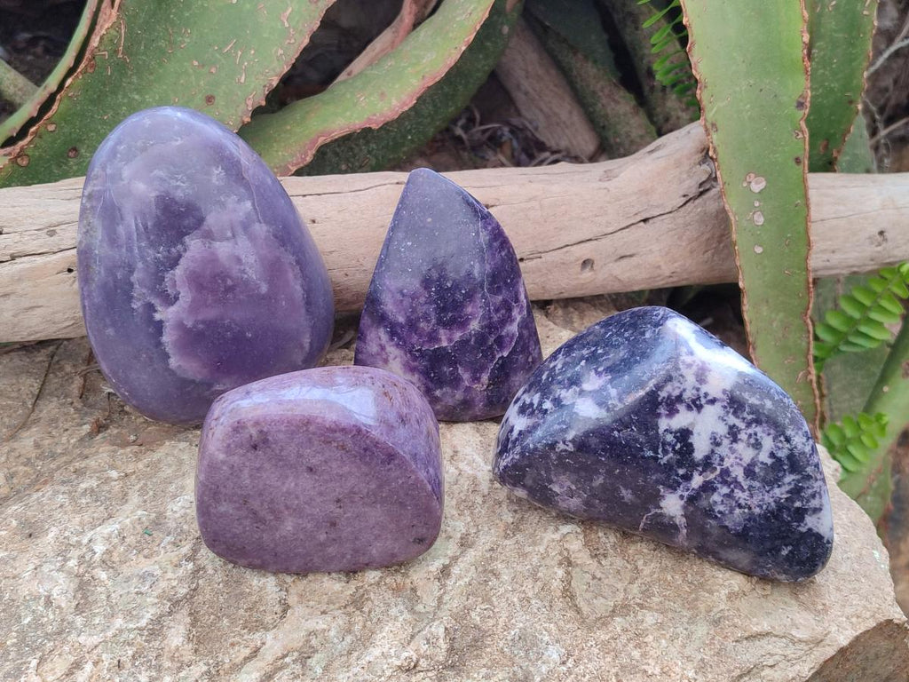 Polished Lepidolite Free Forms x 4 From Zimbabwe - Toprock Gemstones and Minerals 