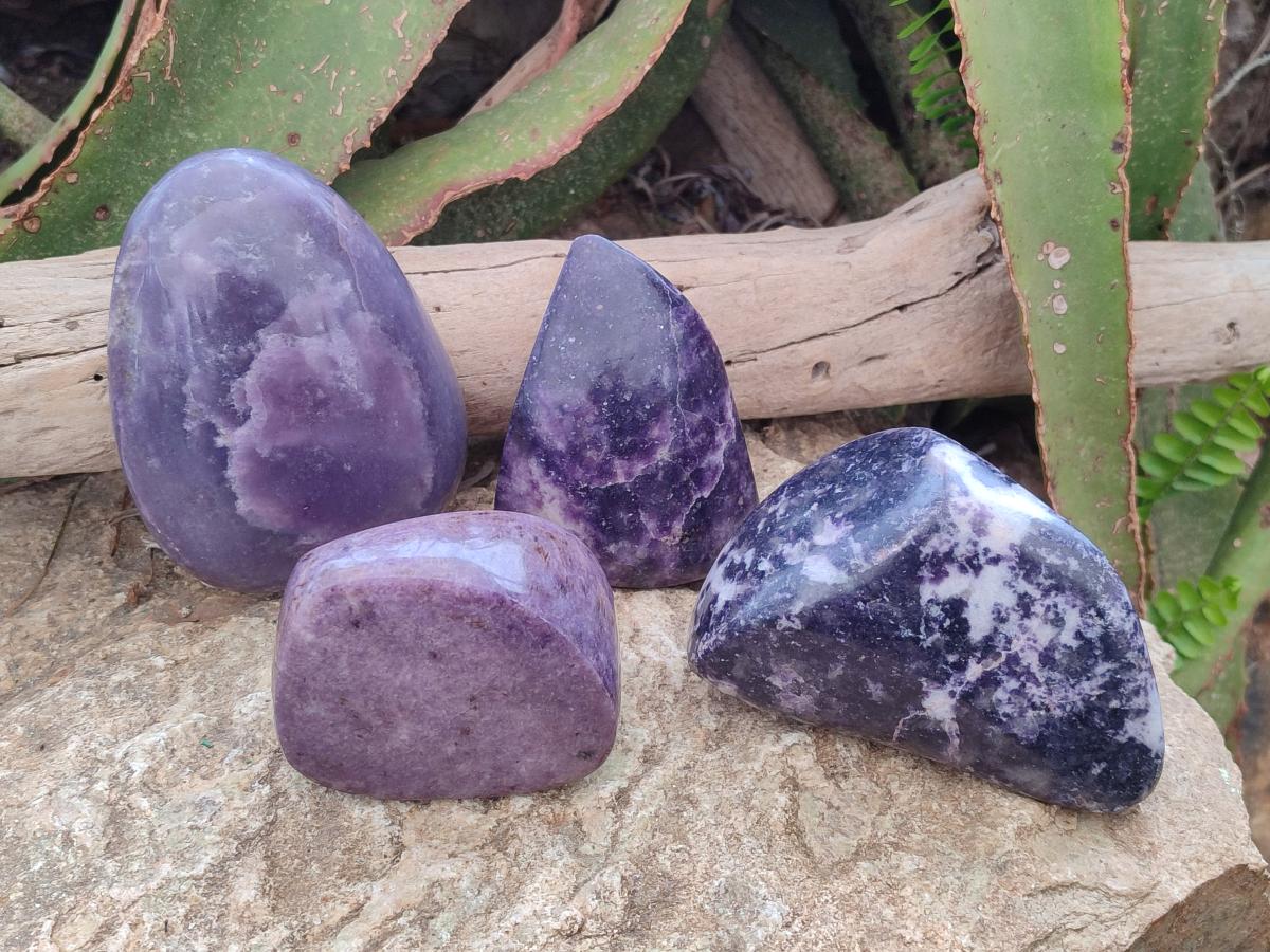 Polished Lepidolite Free Forms x 4 From Zimbabwe - Toprock Gemstones and Minerals 