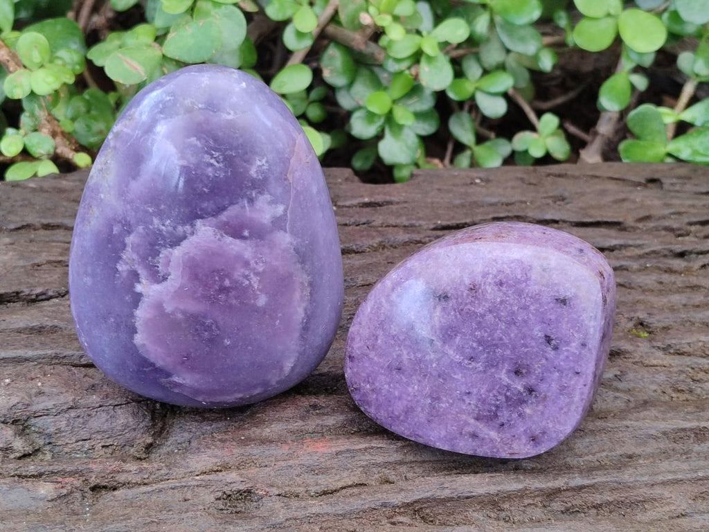 Polished Lepidolite Free Forms x 4 From Zimbabwe - Toprock Gemstones and Minerals 