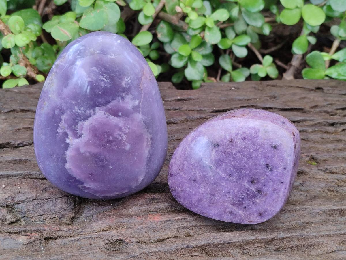 Polished Lepidolite Free Forms x 4 From Zimbabwe - Toprock Gemstones and Minerals 