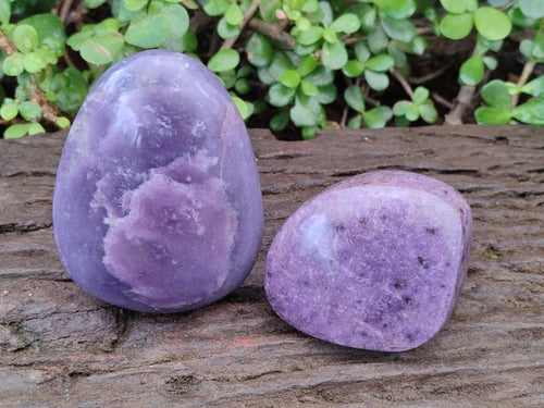 Polished Lepidolite Free Forms x 4 From Zimbabwe - Toprock Gemstones and Minerals 