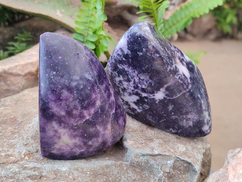Polished Lepidolite Free Forms x 4 From Zimbabwe - Toprock Gemstones and Minerals 