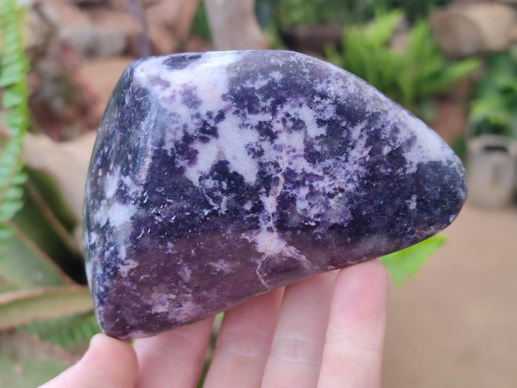 Polished Lepidolite Free Forms x 4 From Zimbabwe - Toprock Gemstones and Minerals 
