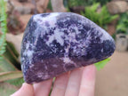 Polished Lepidolite Free Forms x 4 From Zimbabwe - Toprock Gemstones and Minerals 