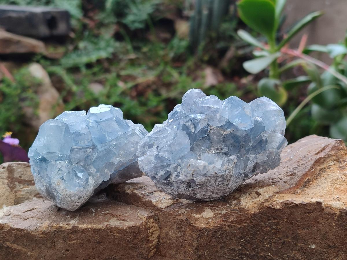 Natural Blue Celestite Specimens x 6 From Sakoany, Madagascar - Toprock Gemstones and Minerals 