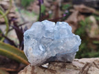 Natural Blue Celestite Specimens x 6 From Sakoany, Madagascar - Toprock Gemstones and Minerals 
