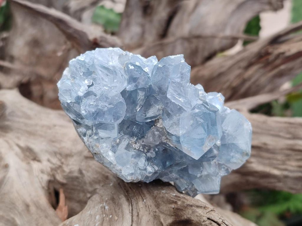 Natural Blue Celestite Specimens x 6 From Sakoany, Madagascar - Toprock Gemstones and Minerals 