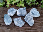 Natural Blue Celestite Specimens x 6 From Sakoany, Madagascar - Toprock Gemstones and Minerals 