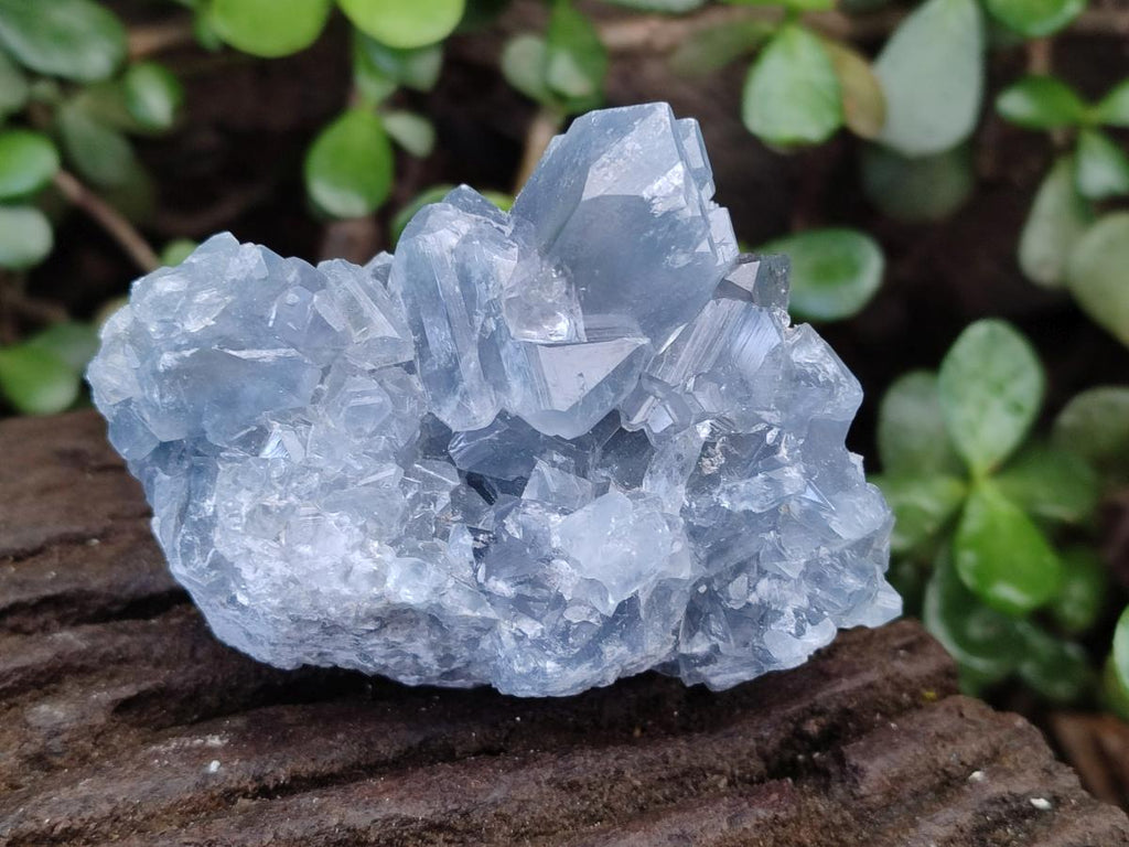 Natural Blue Celestite Specimens x 6 From Sakoany, Madagascar - Toprock Gemstones and Minerals 