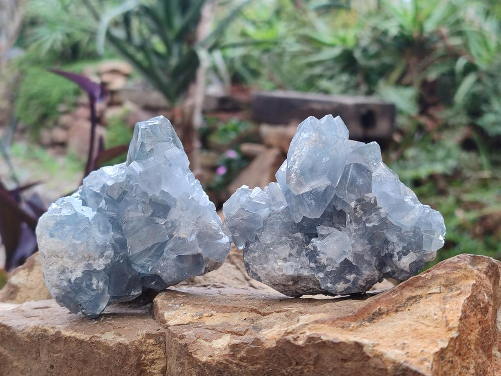 Natural Blue Celestite Specimens x 6 From Sakoany, Madagascar - Toprock Gemstones and Minerals 