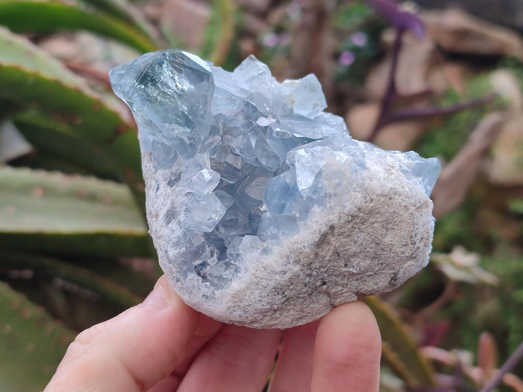 Natural Blue Celestite Specimens x 6 From Sakoany, Madagascar - Toprock Gemstones and Minerals 