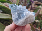 Natural Blue Celestite Specimens x 6 From Sakoany, Madagascar - Toprock Gemstones and Minerals 