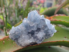 Natural Blue Celestite Specimens x 6 From Sakoany, Madagascar - Toprock Gemstones and Minerals 