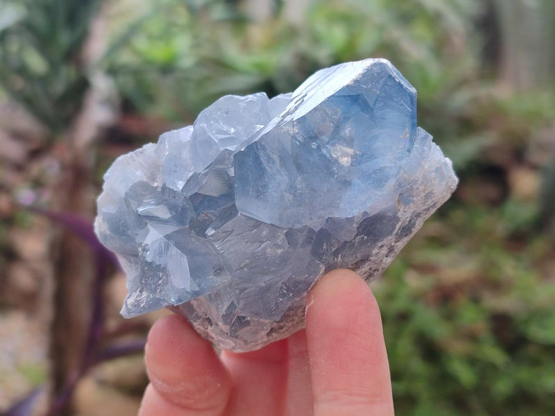 Natural Blue Celestite Specimens x 6 From Sakoany, Madagascar - Toprock Gemstones and Minerals 