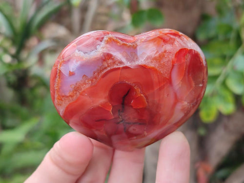 Polished Carnelian Agate Gemstone Hearts x 6 From Madagascar - Toprock Gemstones and Minerals 