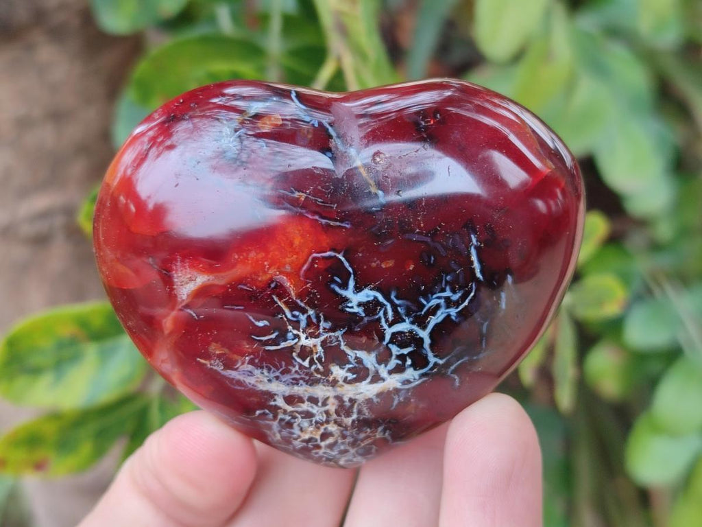 Polished Carnelian Agate Gemstone Hearts x 6 From Madagascar - Toprock Gemstones and Minerals 