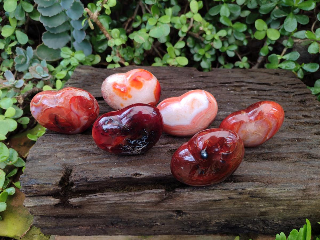 Polished Carnelian Agate Gemstone Hearts x 6 From Madagascar - Toprock Gemstones and Minerals 