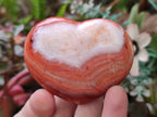 Polished Carnelian Agate Gemstone Hearts x 6 From Madagascar - Toprock Gemstones and Minerals 