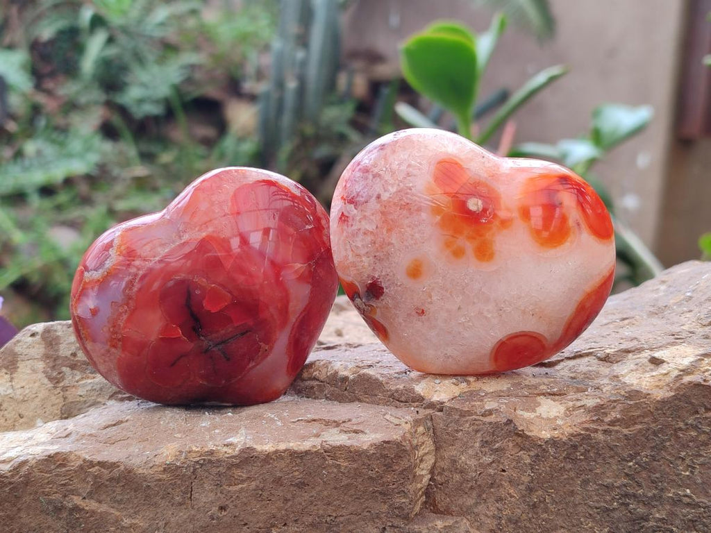 Polished Carnelian Agate Gemstone Hearts x 6 From Madagascar - Toprock Gemstones and Minerals 